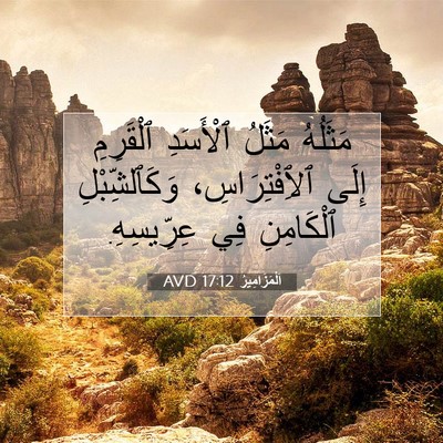 Picture 07 - اَلْمَزَامِيرُ 17:12 AVD - مَثَلُهُ مَثَلُ ٱلْأَسَدِ - Bible Verse Picture