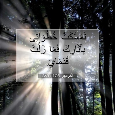 Picture 07 - اَلْمَزَامِيرُ 17:5 AVD - تَمَسَّكَتْ خُطُوَاتِي - Bible Verse Picture
