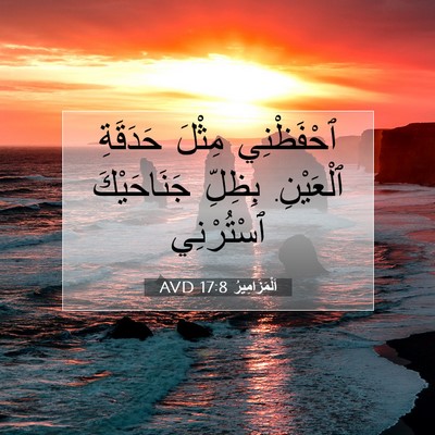 Picture 07 - اَلْمَزَامِيرُ 17:8 AVD - ٱحْفَظْنِي مِثْلَ - Bible Verse Picture