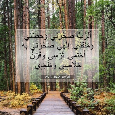 Picture 07 - اَلْمَزَامِيرُ 18:2 AVD - ٱلرَّبُّ صَخْرَتِي - Bible Verse Picture