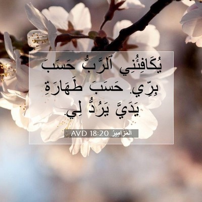 Picture 07 - اَلْمَزَامِيرُ 18:20 AVD - يُكَافِئُنِي ٱلرَّبُّ - Bible Verse Picture