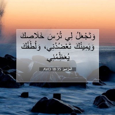 Picture 07 - اَلْمَزَامِيرُ 18:35 AVD - وَتَجْعَلُ لِي تُرْسَ - Bible Verse Picture
