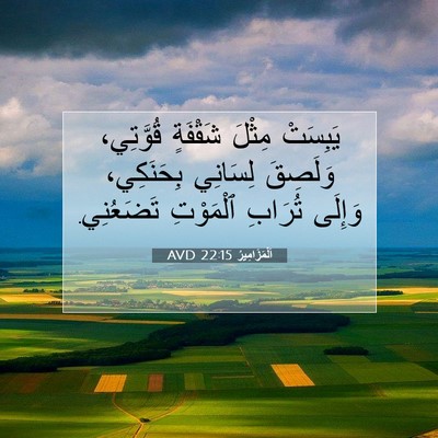 Picture 07 - اَلْمَزَامِيرُ 22:15 AVD - يَبِسَتْ مِثْلَ شَقْفَةٍ - Bible Verse Picture