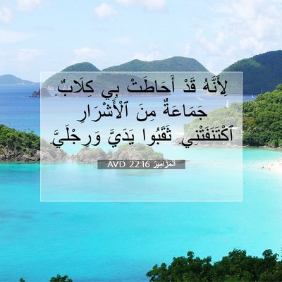 Picture 07 - اَلْمَزَامِيرُ 22:16 AVD - لِأَنَّهُ قَدْ أَحَاطَتْ - Bible Verse Picture
