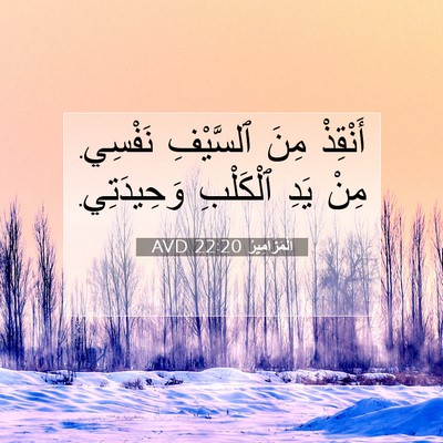Picture 07 - اَلْمَزَامِيرُ 22:20 AVD - أَنْقِذْ مِنَ ٱلسَّيْفِ - Bible Verse Picture