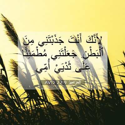 Picture 07 - اَلْمَزَامِيرُ 22:9 AVD - لِأَنَّكَ أَنْتَ - Bible Verse Picture