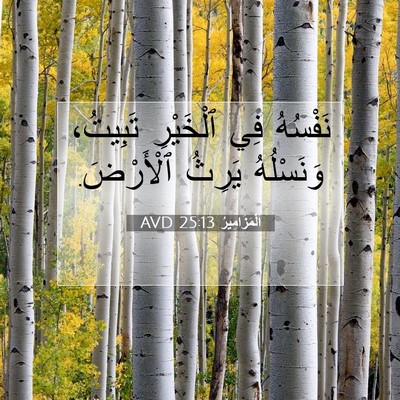 Picture 07 - اَلْمَزَامِيرُ 25:13 AVD - نَفْسُهُ فِي ٱلْخَيْرِ - Bible Verse Picture