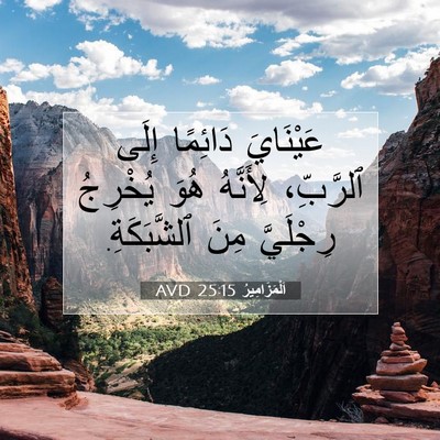 Picture 07 - اَلْمَزَامِيرُ 25:15 AVD - عَيْنَايَ دَائِمًا إِلَى - Bible Verse Picture