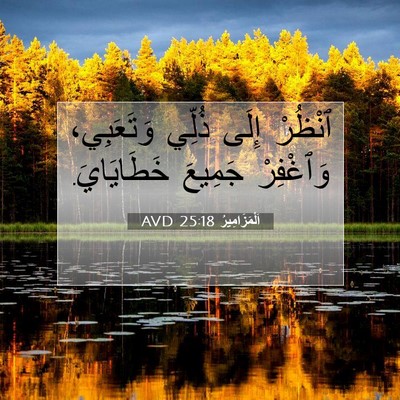Picture 07 - اَلْمَزَامِيرُ 25:18 AVD - ٱنْظُرْ إِلَى ذُلِّي - Bible Verse Picture