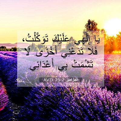 Picture 07 - اَلْمَزَامِيرُ 25:2 AVD - يَا إِلَهِي عَلَيْكَ - Bible Verse Picture