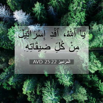 Picture 07 - اَلْمَزَامِيرُ 25:22 AVD - يَا ٱللهُ، ٱفْدِ - Bible Verse Picture
