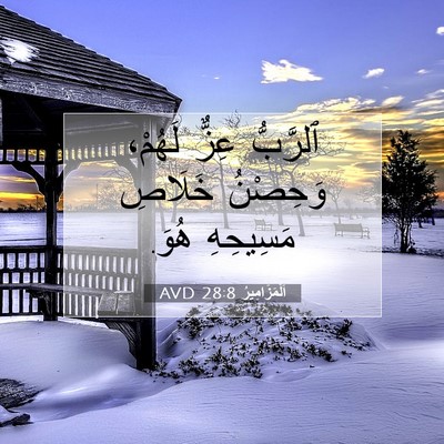 Picture 07 - اَلْمَزَامِيرُ 28:8 AVD - ٱلرَّبُّ عِزٌّ لَهُمْ، - Bible Verse Picture
