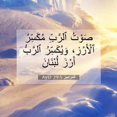 Picture 07 - اَلْمَزَامِيرُ 29:5 AVD - صَوْتُ ٱلرَّبِّ مُكَسِّرُ - Bible Verse Picture