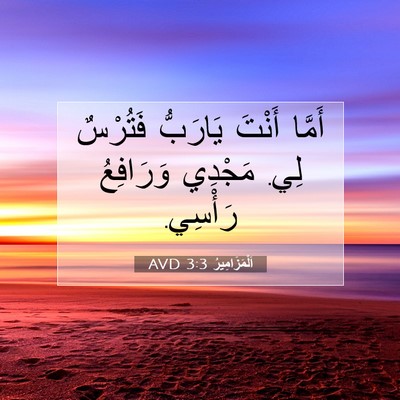 Picture 07 - اَلْمَزَامِيرُ 3:3 AVD - أَمَّا أَنْتَ يَارَبُّ - Bible Verse Picture