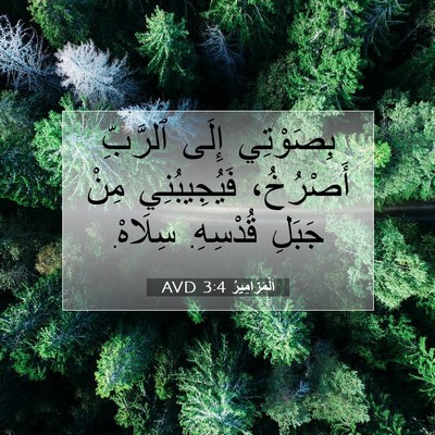 Picture 07 - اَلْمَزَامِيرُ 3:4 AVD - بِصَوْتِي إِلَى ٱلرَّبِّ - Bible Verse Picture