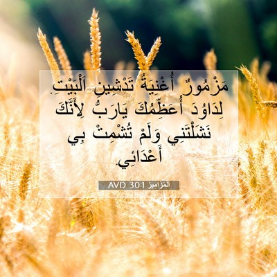 Picture 07 - اَلْمَزَامِيرُ 30:1 AVD - مَزْمُورٌ أُغْنِيَةُ - Bible Verse Picture