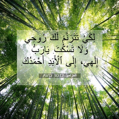 Picture 07 - اَلْمَزَامِيرُ 30:12 AVD - لِكَيْ تَتَرَنَّمَ لَكَ - Bible Verse Picture