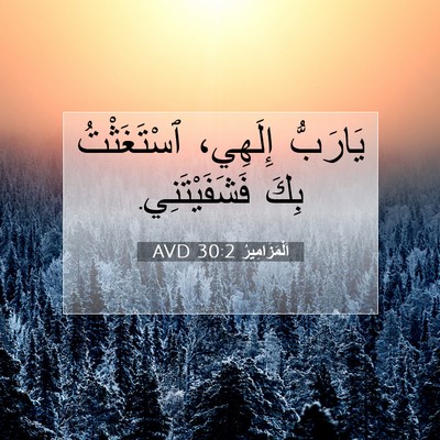 Picture 07 - اَلْمَزَامِيرُ 30:2 AVD - يَارَبُّ إِلَهِي، - Bible Verse Picture