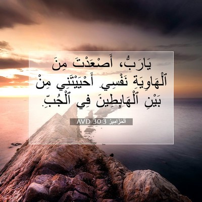 Picture 07 - اَلْمَزَامِيرُ 30:3 AVD - يَارَبُّ، أَصْعَدْتَ مِنَ - Bible Verse Picture