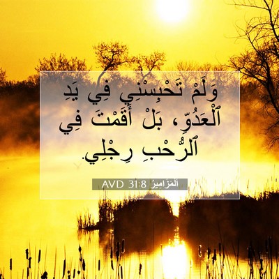 Picture 07 - اَلْمَزَامِيرُ 31:8 AVD - وَلَمْ تَحْبِسْنِي فِي - Bible Verse Picture