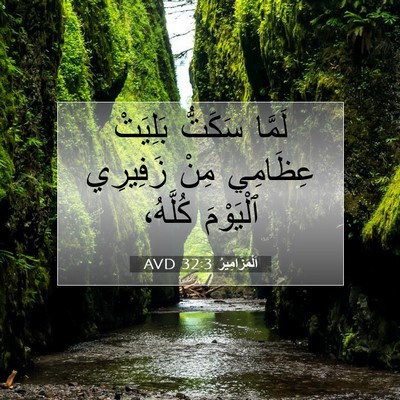 Picture 07 - اَلْمَزَامِيرُ 32:3 AVD - لَمَّا سَكَتُّ بَلِيَتْ - Bible Verse Picture