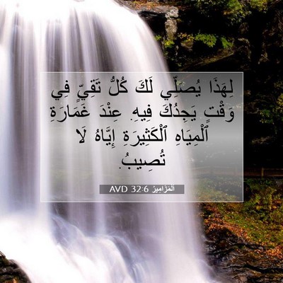 Picture 07 - اَلْمَزَامِيرُ 32:6 AVD - لِهَذَا يُصَلِّي لَكَ - Bible Verse Picture