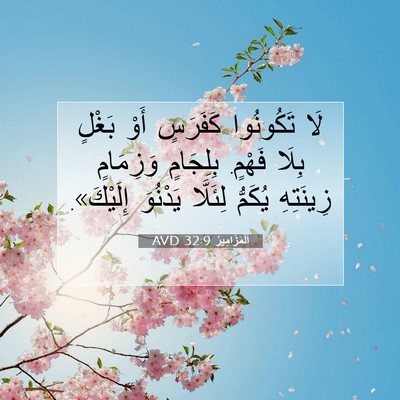 Picture 07 - اَلْمَزَامِيرُ 32:9 AVD - لَا تَكُونُوا كَفَرَسٍ - Bible Verse Picture