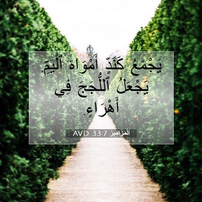 Picture 07 - اَلْمَزَامِيرُ 33:7 AVD - يَجْمَعُ كَنَدٍّ - Bible Verse Picture