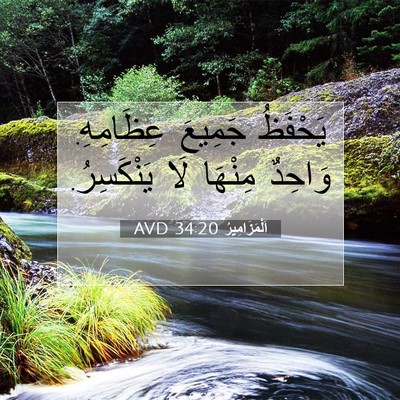 Picture 07 - اَلْمَزَامِيرُ 34:20 AVD - يَحْفَظُ جَمِيعَ - Bible Verse Picture