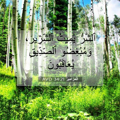 Picture 07 - اَلْمَزَامِيرُ 34:21 AVD - ٱلشَّرُّ يُمِيتُ - Bible Verse Picture