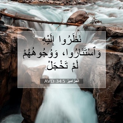 Picture 07 - اَلْمَزَامِيرُ 34:5 AVD - نَظَرُوا إِلَيْهِ - Bible Verse Picture