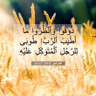 Picture 07 - اَلْمَزَامِيرُ 34:8 AVD - ذُوقُوا وَٱنْظُرُوا مَا - Bible Verse Picture