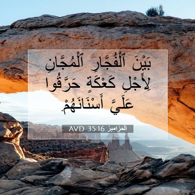 Picture 07 - اَلْمَزَامِيرُ 35:16 AVD - بَيْنَ ٱلْفُجَّارِ - Bible Verse Picture
