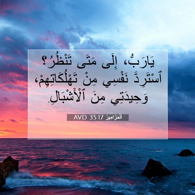 Picture 07 - اَلْمَزَامِيرُ 35:17 AVD - يَارَبُّ، إِلَى مَتَى - Bible Verse Picture