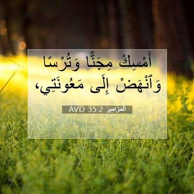 Picture 07 - اَلْمَزَامِيرُ 35:2 AVD - أَمْسِكْ مِجَنًّا - Bible Verse Picture