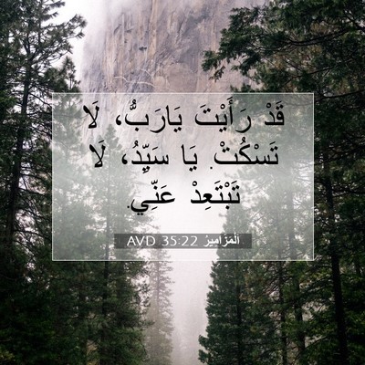 Picture 07 - اَلْمَزَامِيرُ 35:22 AVD - قَدْ رَأَيْتَ يَارَبُّ، - Bible Verse Picture