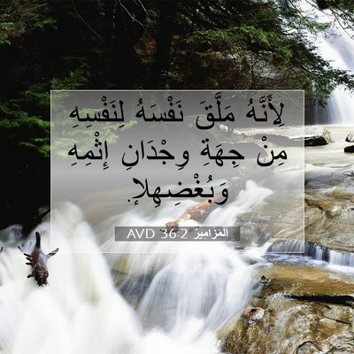 Picture 07 - اَلْمَزَامِيرُ 36:2 AVD - لِأَنَّهُ مَلَّقَ - Bible Verse Picture