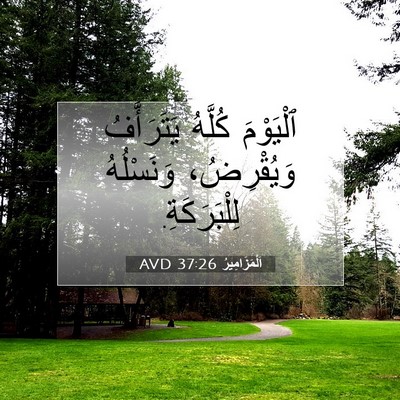 Picture 07 - اَلْمَزَامِيرُ 37:26 AVD - ٱلْيَوْمَ كُلَّهُ - Bible Verse Picture