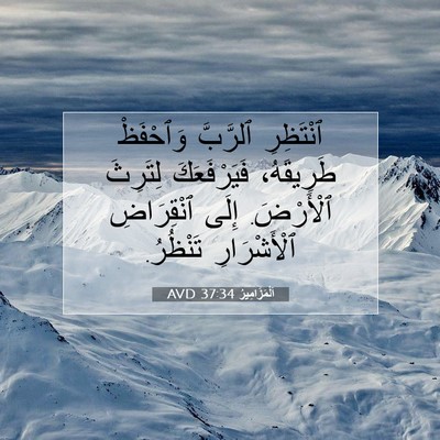 Picture 07 - اَلْمَزَامِيرُ 37:34 AVD - ٱنْتَظِرِ ٱلرَّبَّ - Bible Verse Picture
