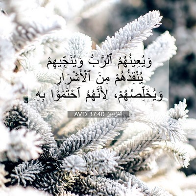 Picture 07 - اَلْمَزَامِيرُ 37:40 AVD - وَيُعِينُهُمُ ٱلرَّبُّ - Bible Verse Picture