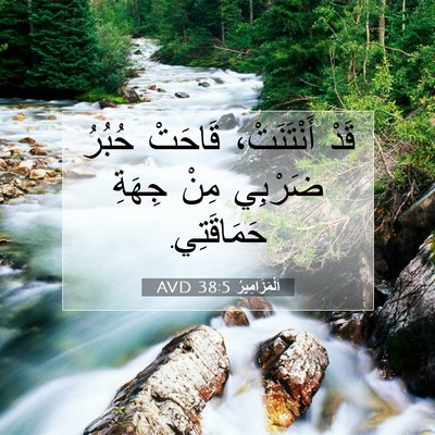 Picture 07 - اَلْمَزَامِيرُ 38:5 AVD - قَدْ أَنْتَنَتْ، قَاحَتْ - Bible Verse Picture
