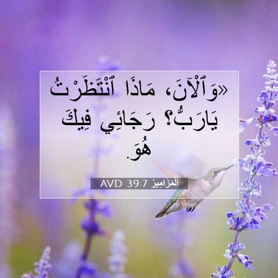 Picture 07 - اَلْمَزَامِيرُ 39:7 AVD - «وَٱلْآنَ، مَاذَا - Bible Verse Picture