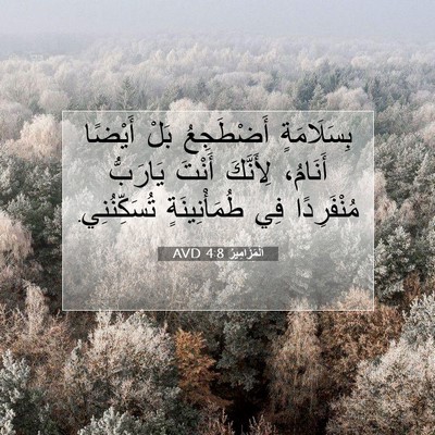 Picture 07 - اَلْمَزَامِيرُ 4:8 AVD - بِسَلَامَةٍ أَضْطَجِعُ - Bible Verse Picture
