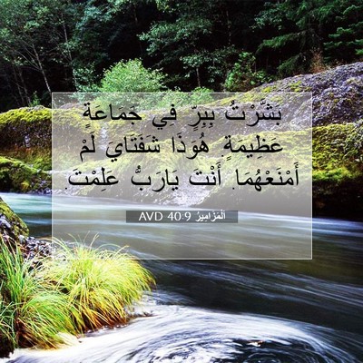 Picture 07 - اَلْمَزَامِيرُ 40:9 AVD - بَشَّرْتُ بِبِرٍّ فِي - Bible Verse Picture