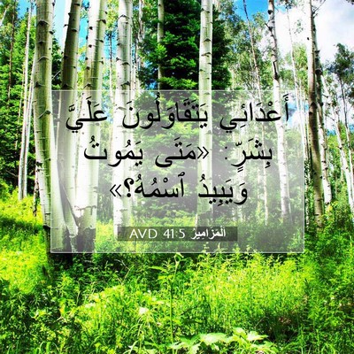 Picture 07 - اَلْمَزَامِيرُ 41:5 AVD - أَعْدَائِي يَتَقَاوَلُونَ - Bible Verse Picture
