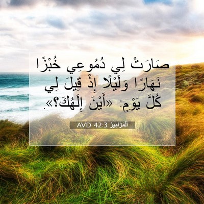 Picture 07 - اَلْمَزَامِيرُ 42:3 AVD - صَارَتْ لِي دُمُوعِي - Bible Verse Picture