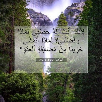 Picture 07 - اَلْمَزَامِيرُ 43:2 AVD - لِأَنَّكَ أَنْتَ إِلَهُ - Bible Verse Picture