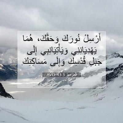 Picture 07 - اَلْمَزَامِيرُ 43:3 AVD - أَرْسِلْ نُورَكَ - Bible Verse Picture