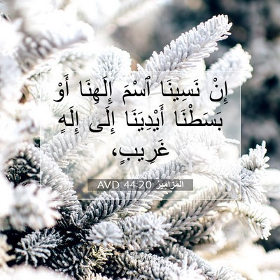 Picture 07 - اَلْمَزَامِيرُ 44:20 AVD - إِنْ نَسِينَا ٱسْمَ - Bible Verse Picture