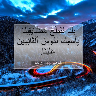 Picture 07 - اَلْمَزَامِيرُ 44:5 AVD - بِكَ نَنْطَحُ - Bible Verse Picture